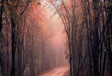 世预赛-拜合拉木破门张玉宁建功 国足2-1印尼取首胜.