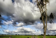 蓝鲸体育官网：与国米比赛进行途中 菲奥伦蒂那中场博韦突晕厥.