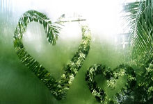 💪🏻首发出战！利物浦16岁小将恩古莫哈将迎来一线队首秀.