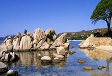 蓝鲸体育官网：波兰新晋国脚：想抢断莱万但总扑空；莫德尔带我认识所有人.